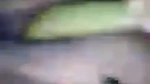 Village Bhabi Masturbating