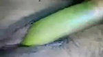 Village Bhabi Masturbating