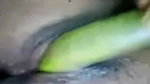 Village Bhabi Masturbating