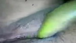 Village Bhabi Masturbating