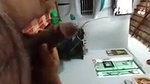 Married sucker