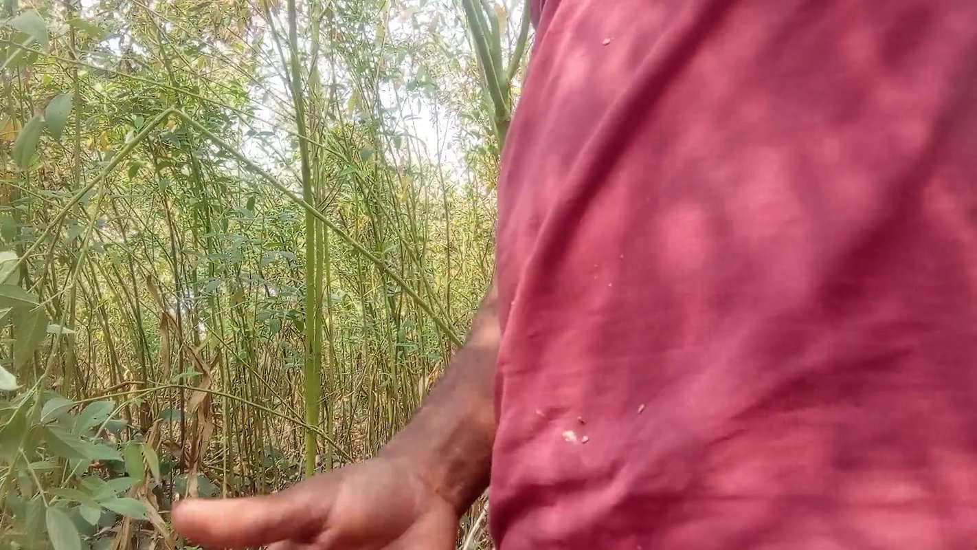 Indian Desi Bhabhi – After calling the village girl in the jungle, my sister-in-law’s ass turned out to be very tight