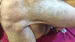 Hanif and Adori – Doggy style fuck hot and cute Bengali girlfriend Romance at home