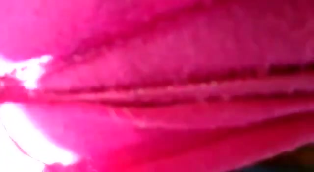 Frame 10