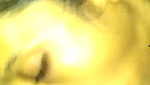 Desi Bhabhi Give Blowjob