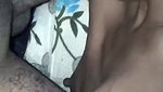 Desi Bhabhi Give Blowjob