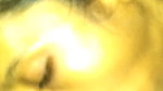 Girl Sucking Dick