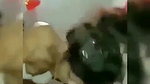 Desi bhabi Riding