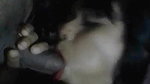 Desi Horny Village Girl Sucking