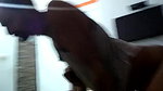 Young lover fucking