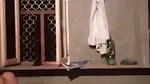 Village couple fucking