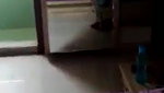 Big ass bhabhi fucking