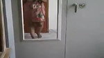 Beautiful girl mms