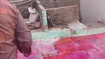 3 Guys pressing boobs of a desi girl during holi