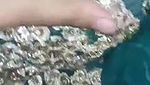 Pakistani new marrid girl ki chudai full hot
