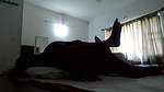 Desi Young Lover Fucking in Hotelroom