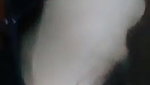 Busty Hot Wife Full Nude Show 4 Videos
