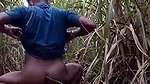 Desi Affair lover Ghapaghap in sugarcane field