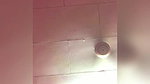 Cute girl updates, many clips merged