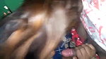 Young village girl giving blowjob