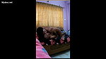 married couple masi and ramesh