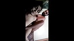 Wife Crying Louder And Harder