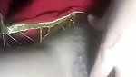 Village girl fingering her virgin pussy hole