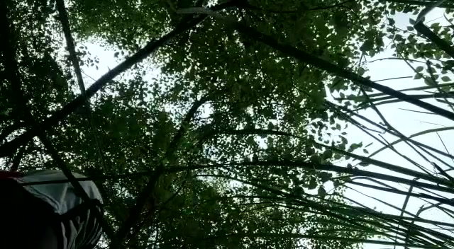Frame 10