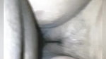 BEAUTIFUL INDIAN BUSTY MILF GETTING FUCKED AND RECORED