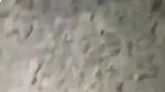 Paki wife fucked by call boy with loud moaning