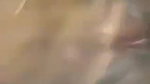 Horny Desi Girl Pussy Rubbing
