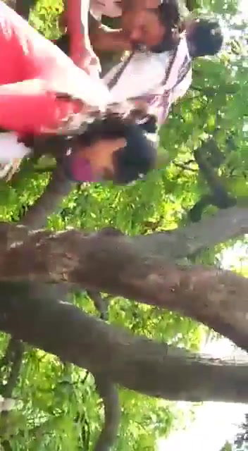 Frame 10