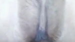 Anal with my beautiful wife