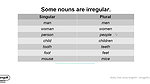 Introduction to Common Nouns in English