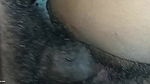 Desi Sex Village Bhabhi With Devar Indian Porn Videos