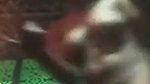 Cute Village Girl Showing