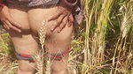 The step-sister-in-law showed her brother-in-law her fat ass in her wheat field with her brother-in-law in the open forest in the field