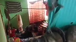Couple Captured Secretly