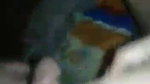 Beautiful Young Village Girl Sucking & Fucking Videos