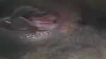 DESI GIRL SHOWING HER TIGHT PUSSY