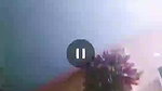 Myd rnd bengali chamet premium video -1