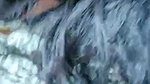Myd rnd bengali chamet premium video -15