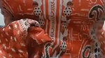Myd rnd bengali chamet premium video -37