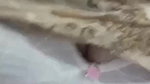 Myd rnd bengali chamet premium video -39