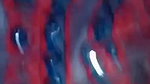 Myd rnd bengali chamet premium video -75