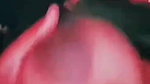 Myd rnd bengali chamet premium video -118
