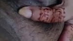 Myd rnd bengali chamet premium video -126