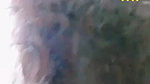 Myd rnd bengali chamet premium video -172