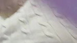 Myd rnd bengali chamet premium video -208