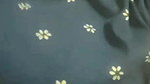 Myd rnd bengali chamet premium video -239